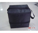 Cooler Bag