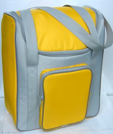 Cooler Bag