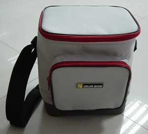 Cooler Bag